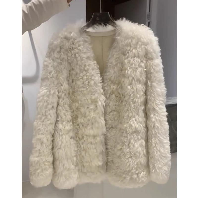 Autumn and Winter New Fur Integrated Lamb Plush Imitation Fur Coat Women's Coat Short Curly Top