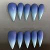 10Pcs Handmade Red Gradient Dragon Claw Press On Nails Cat Shape Detachable False Nail Tips Fake Nail Art