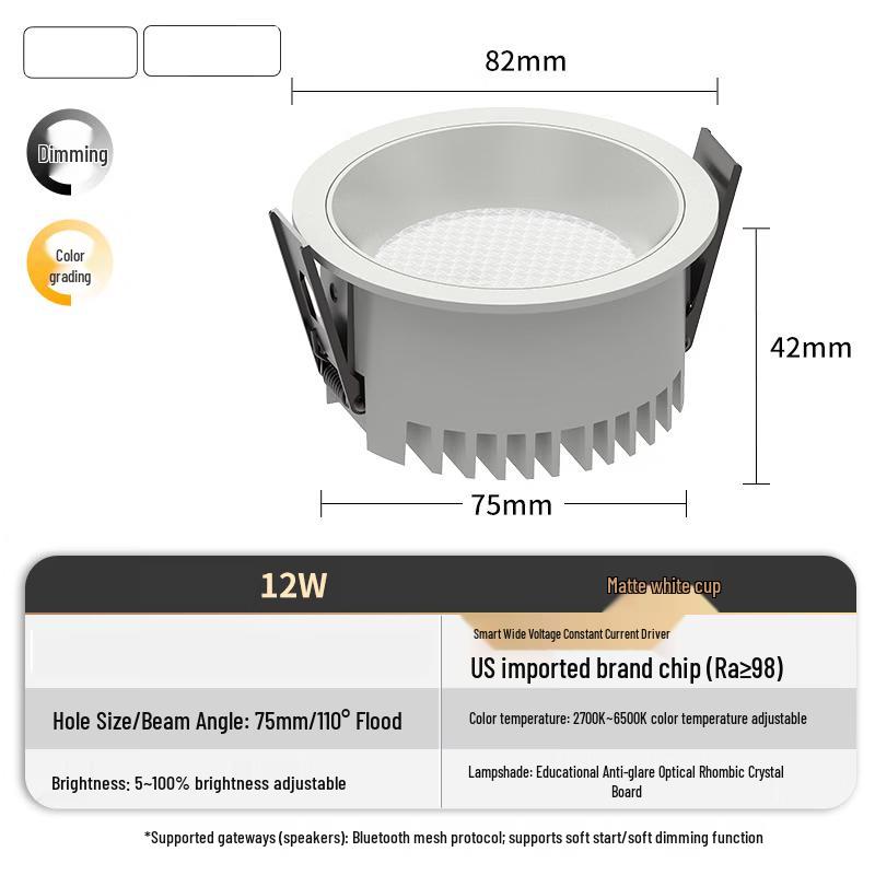 

OEING Smart Deep Anti-glare Full Spectrum Downlight