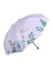 Paradise Umbrella Sun Protection Uv Protection Parasol New Genuine Black Coating Folding Portable Printed Umbrella for Men and Women