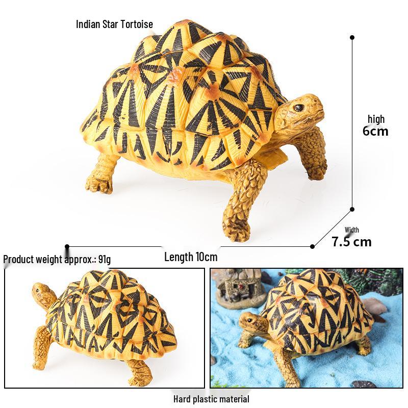 Cross-Border Children's Cognitive Amphibian & Reptile Tortoise Model Fish Tank Ornament Toy