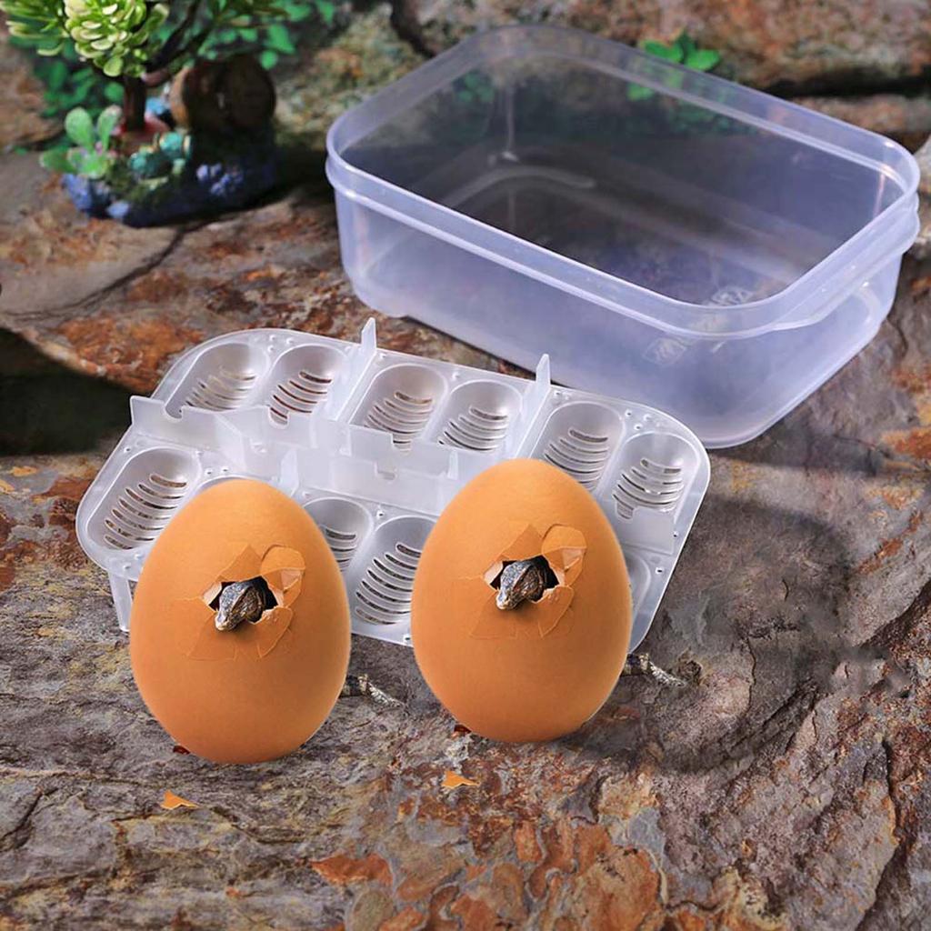 12 Grids Plastic Reptiles Egg Incubator Tray Lizard Snake Eggs Hatcher Box Case Necessary Household Pet Hatching Supplies