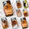 Pomeranian Dogs Dog Phone Case for iPhone 17 Air 16 15 14 12 13 PLUS 11 PRO MAX Back Cover Fundas Shell