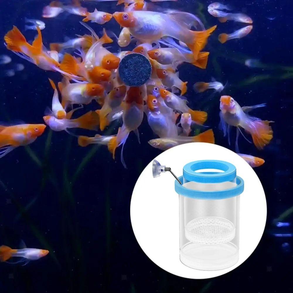2Pcs Transparent Aquarium Hatchery Accessories Detachable Aquarium Breeder Feeder  Guppy Breeding