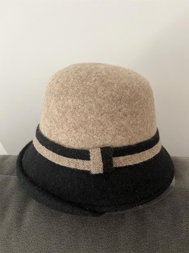 Wool hat women's autumn and winter elegant top hat small edge versatile face small high-end warm casual bucket hat