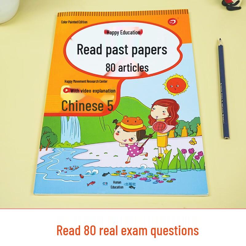 Primary School Chinese Reading Practice Test Papers