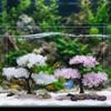 Realistic Cherry Blossom Tree Plastic Landscape Tree Beautiful Artificial Plant  Home Ornaments