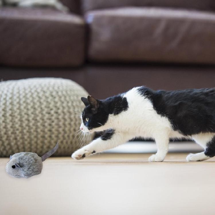 Automatic Electronic Moving Mouse Cats Toy with Realistic Squeaky Interactive Cats Toy for Indoor Bored Cats,Kitten Toy