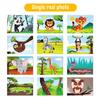 Grenzüberschreitendes Kinder-Puzzle-Stickerbuch für 3–6 Jahre, handgefertigt, DIY-Cartoon-Flash-Tier-Sticker, Malerei, Früherziehung, Sticker, Bilderbuch