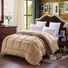 All-Season Thickened Polyester Duvet