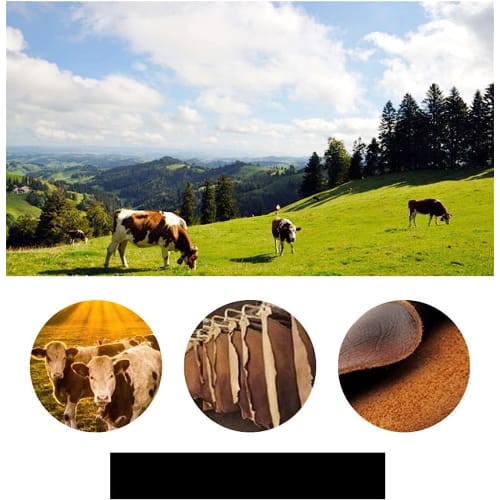 Dayeer Genuine Leather Watch Band with GC Notch Strap for Men and Women with Stainless Steel Butterfly Buckle (Color: Blue Gold, Size: 22-13mm)