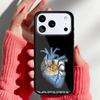 Argentina Flag soft Phone Case for iPhone 17 16 15 14 13 Pro Max Back Cover for 12 11 Pro Coque