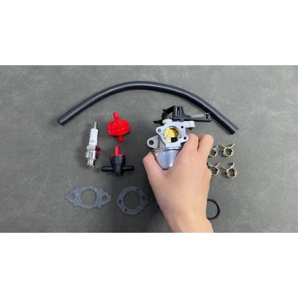 799447 Carburetor Carb For BS 112P02-0004-H1 112P02-0113-B1  Stock