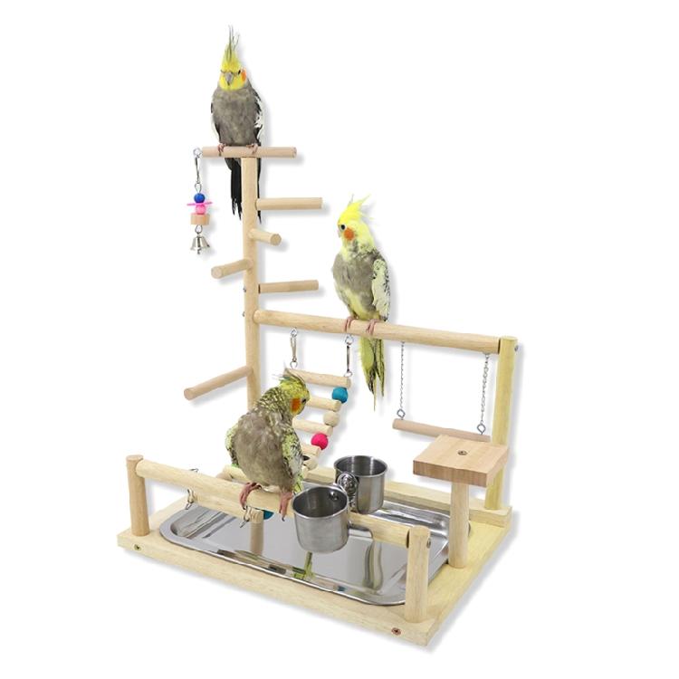 Vogelstange Sitzstange Papageien Spielständer Übungs Spielgymnastik mit Futterspender Übungs Aktivitätszentrum für Conure Nymphensittich Wellensittich