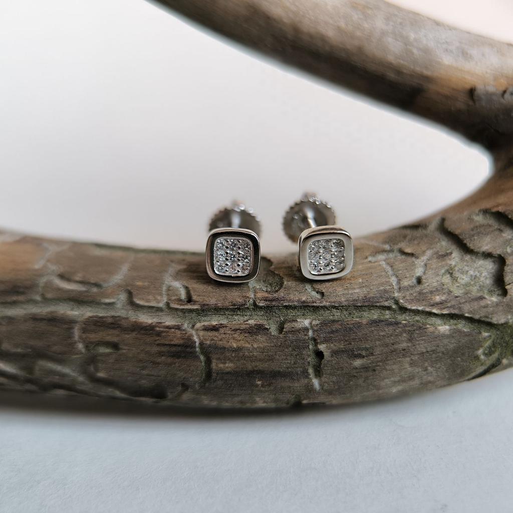 Silver Earrings with Cubic Zirkonia (2191667)