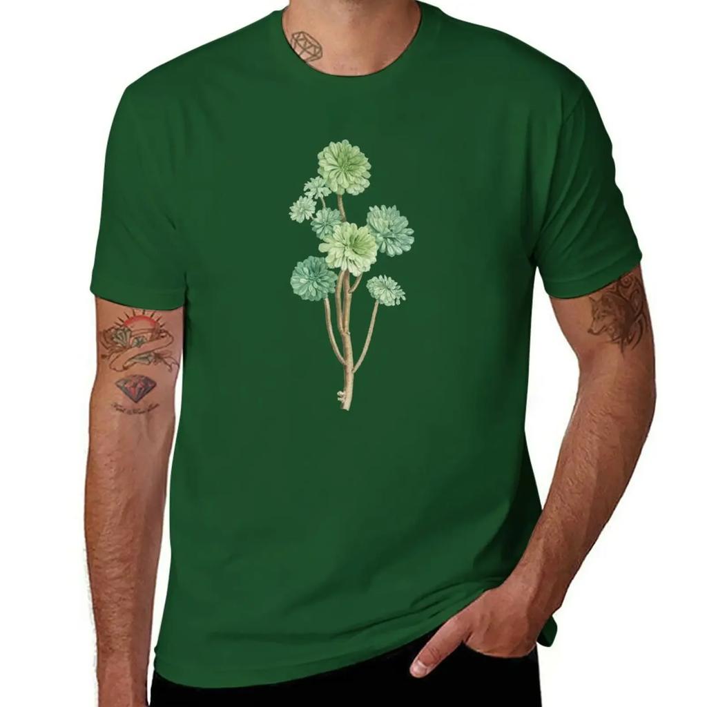 Sempervivum Arboreum T-Shirt shirts graphic tees blacks clothes for men
