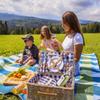 Picnic Blanket Beach Mat Plaid Pad Insulation Foldable Waterproof 200X200