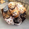 1 PC Automatic Folding Umbrella - Colorful Cat Pattern, Portable & Foldable Design with 8 Ribs, Christmas Birthday Gifts