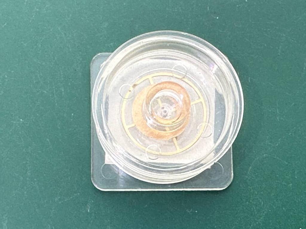 SEIKO Stock Balance Part Number Part Complete/balance Wheel, 310-623 TSP2600104.3