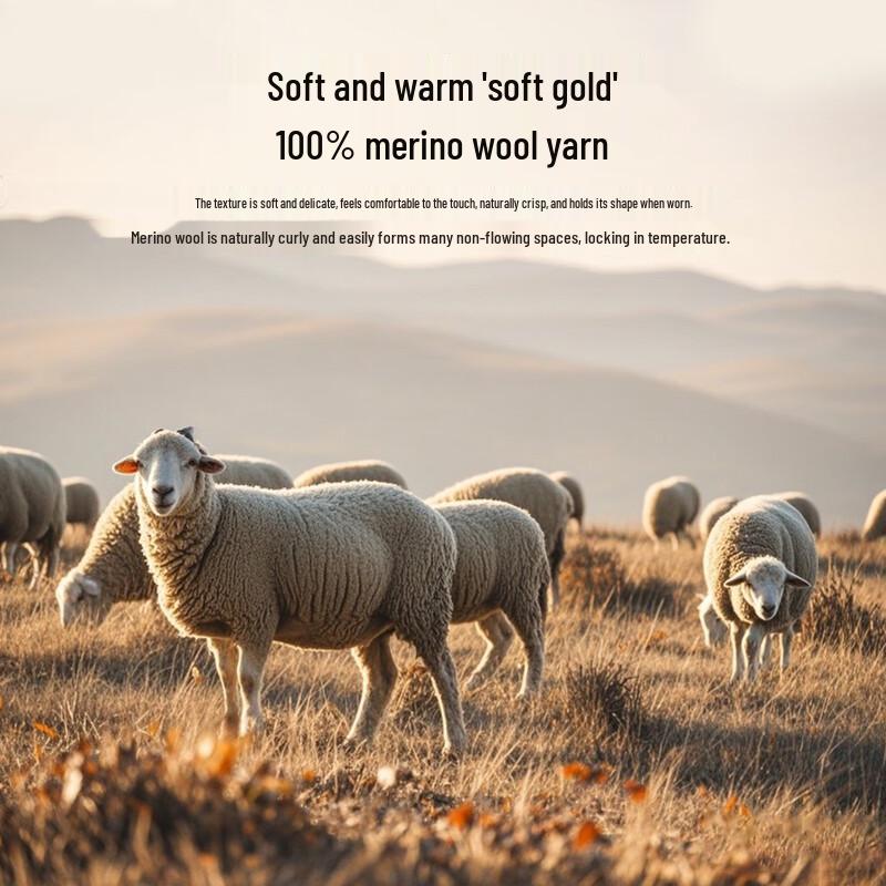 Men's 100% Merino Wool Stand Collar Pullover Sweater
