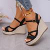 Summer Women Platform High Heel Wedges Shoes  Female Buckle Sandals Sexy Bohemia Style Mujer Women's Sandals