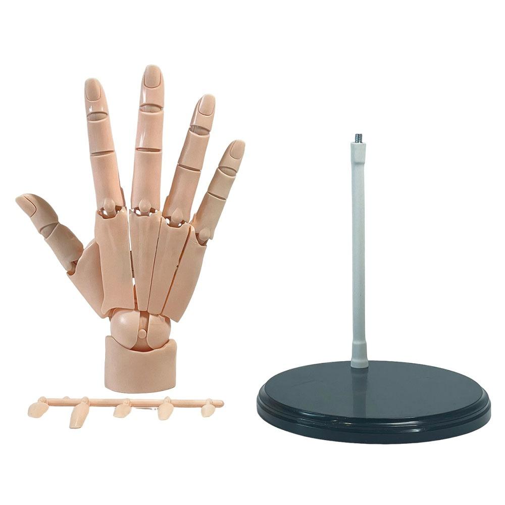 Left/Right Anatomically Accurate Jointed Hand Artists Manikin Hand Figure  Home Decoration Gift Skin Right Hand