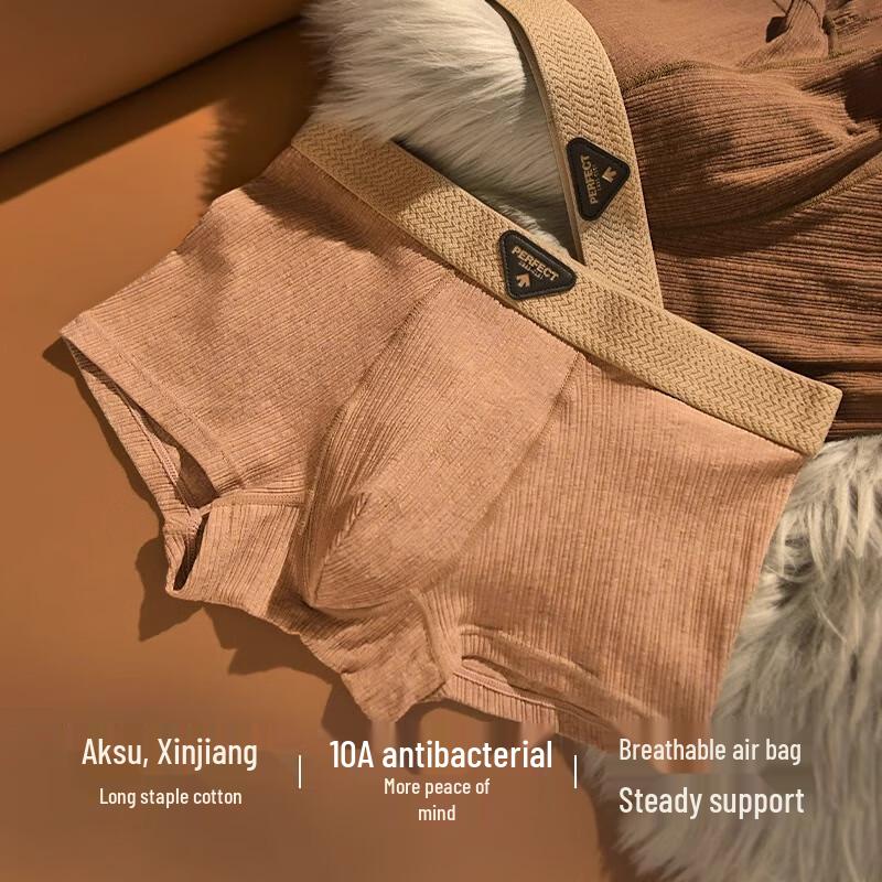 Men's Modal Cotton Antibacterial Boxer Briefs