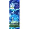 Frozen Blindbox Aurora Dreamland  1box  6pcs 
