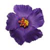 Hibiscus Flower Hawaiian Hair Clips - Beach Party Wedding Accessories