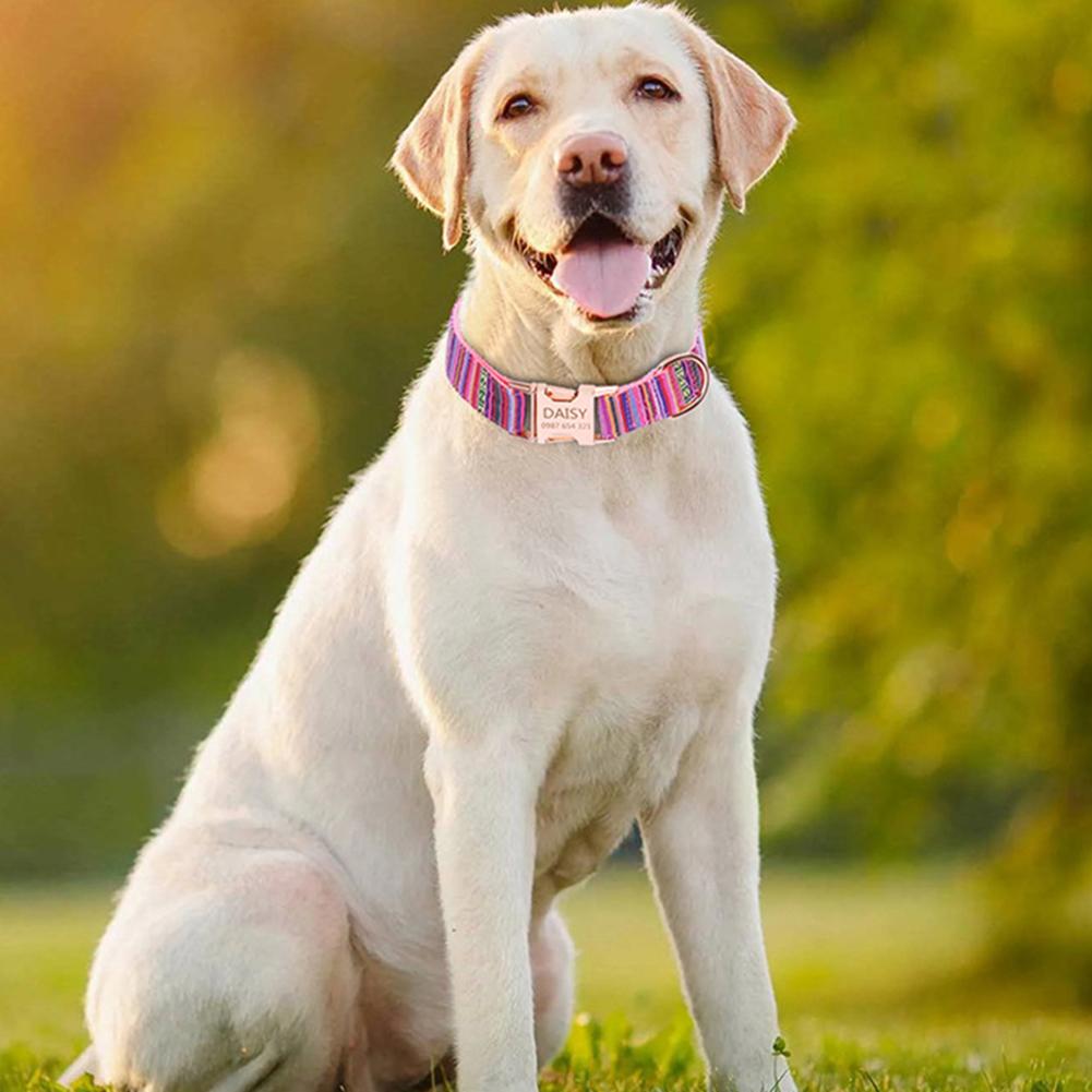 Remium Ethnic Style Dog Collar Boho Style Adjustables Outdoor Collar For Outdoor Daily Walks