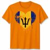 Love Barbados Flag Barbadians Day Football Unisex Cotton Tshirt Bajan Pride Gift