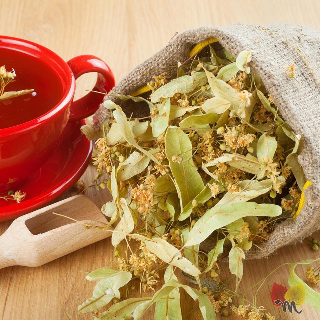 Buy Dried Linden Flowers Herbal Tea at affordable prices — free