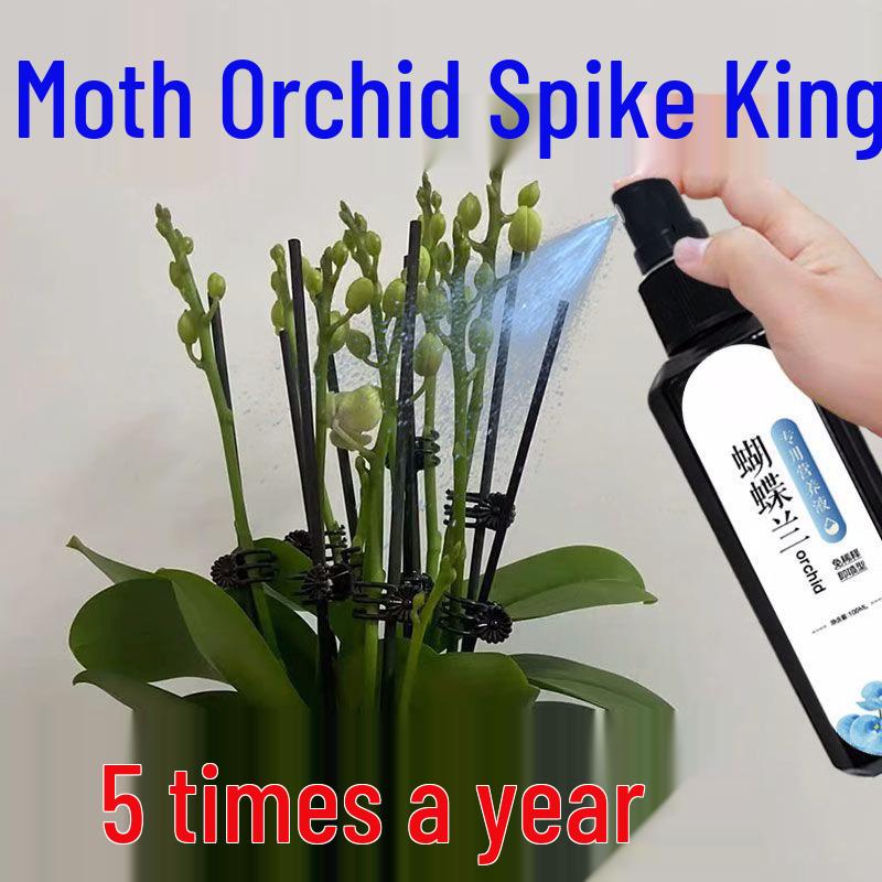 Phalaenopsis Burst: Orchid-Specific Nutrient for Spike Blooming & Yellow Leaf Prevention - Universal Organic Fertilizer