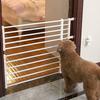 Pet Fence Barrier Gate Fence Cat & Dog Fence Indoor Fence For Medium & Small Dogs Prevents Dogs From Breaking Into Rooms