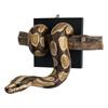 Scultura Murale Pitone Reale Arte Murale Decorativa Ornamento da Appendere a Forma di Serpente per Decorazione Casa Ufficio Soggiorno