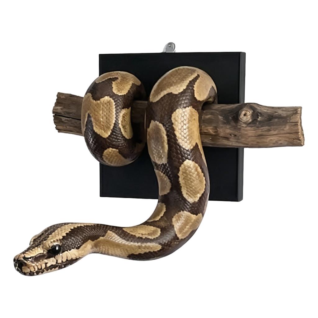 Scultura Murale Pitone Reale Arte Murale Decorativa Ornamento da Appendere a Forma di Serpente per Decorazione Casa Ufficio Soggiorno