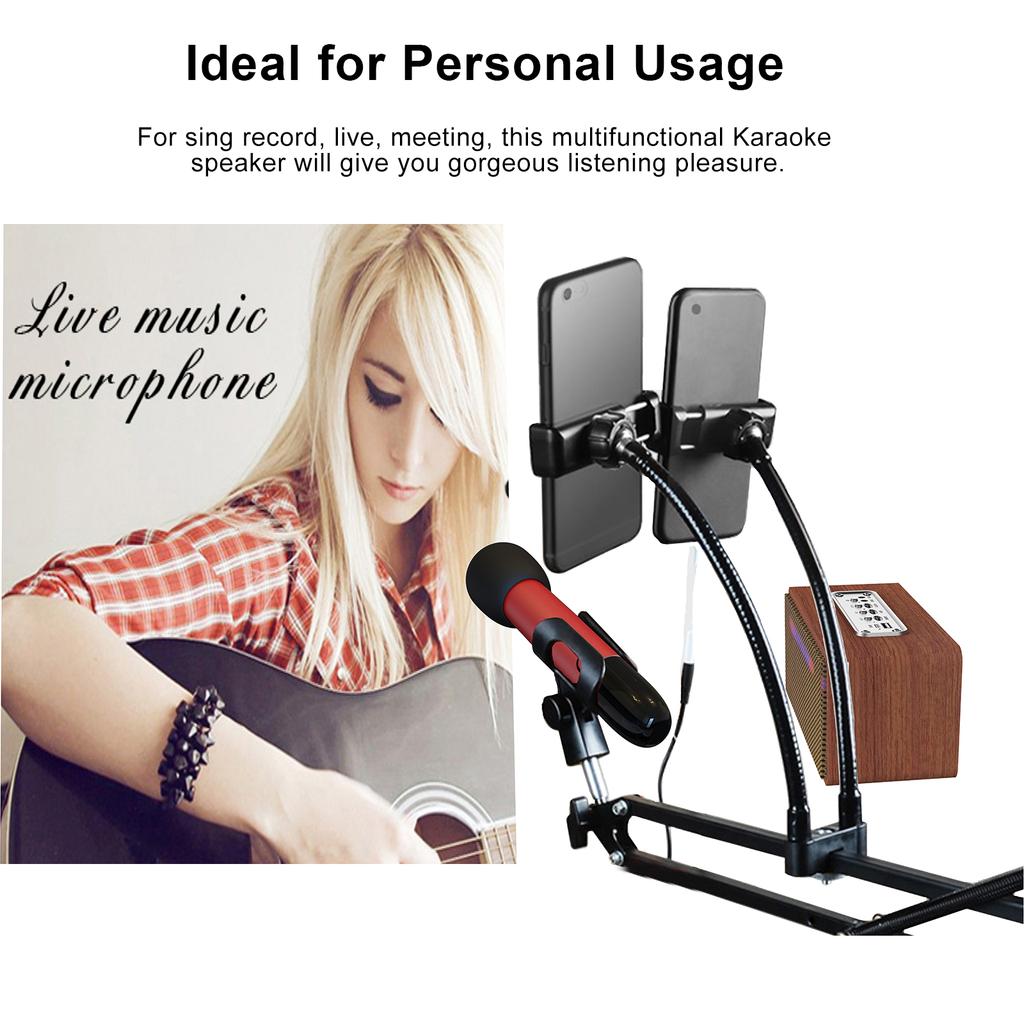 Portable Karaoke Machine for Adults 5W*2 High Power Wireless BT Speakers LED Lights Rechargeable Home Karaoke Support