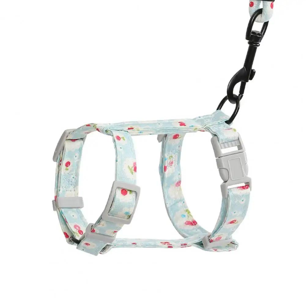 1 Set Excellent Firm Stitching Cat Leash Chest Harness Long Strap Pet Traction Rope Back Strap Buckle Pet Dog Cat Accessories