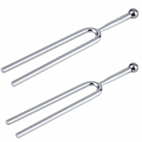 

Set of 2 Guitar Tuning Forks, 440Hz Tuner, High Precision Stainless Steel Guitar Tuning Forks, Lightweight, Compact, and Portable for Tuning Violins a