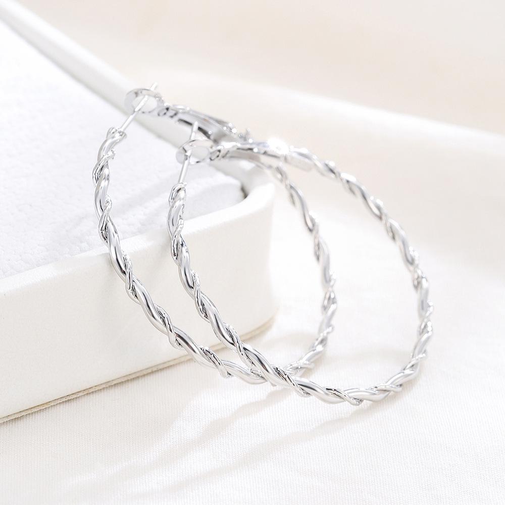 Elegant European & American Geometric Twisted Metal Hoop Earrings