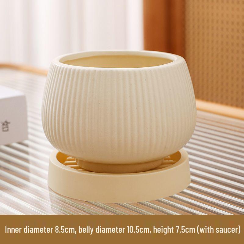 Ceramic Flower Pot with Tray for Orchids and Succulents