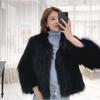 Imitation raccoon hair woven imitation fur jacket women's short new imitation fox hair coat light fashion