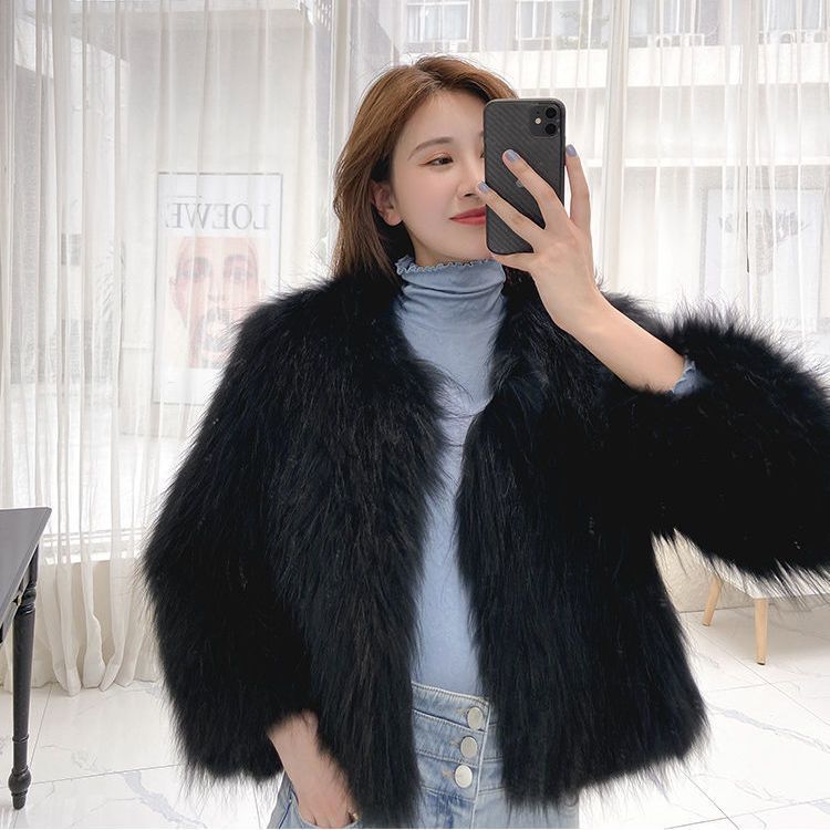 Imitation raccoon hair woven imitation fur jacket women's short new imitation fox hair coat light fashion