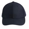 Atlantis Headwear Champion Baseball Cap