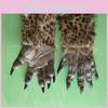 Plush Wolf Claw Latex Gloves Halloween Prop Costume Accessory For Kids And Adults