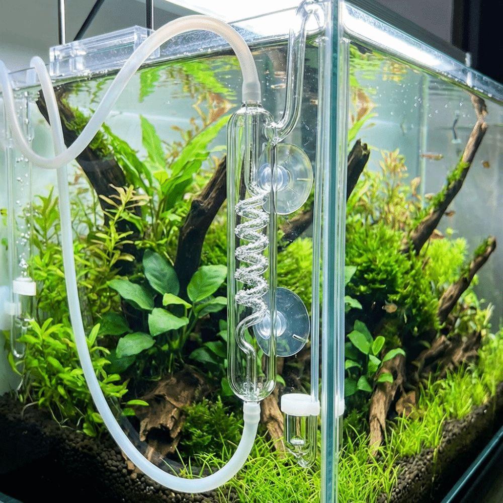 Glass CO2 Bubble Counter with Suction Cup Dioxide Reactor Spiral Bubble Counter  Fish Tank