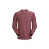 Arcteryx REMIGE T-Shirts Men's Crew Neck Moderate Straight Fit 25157