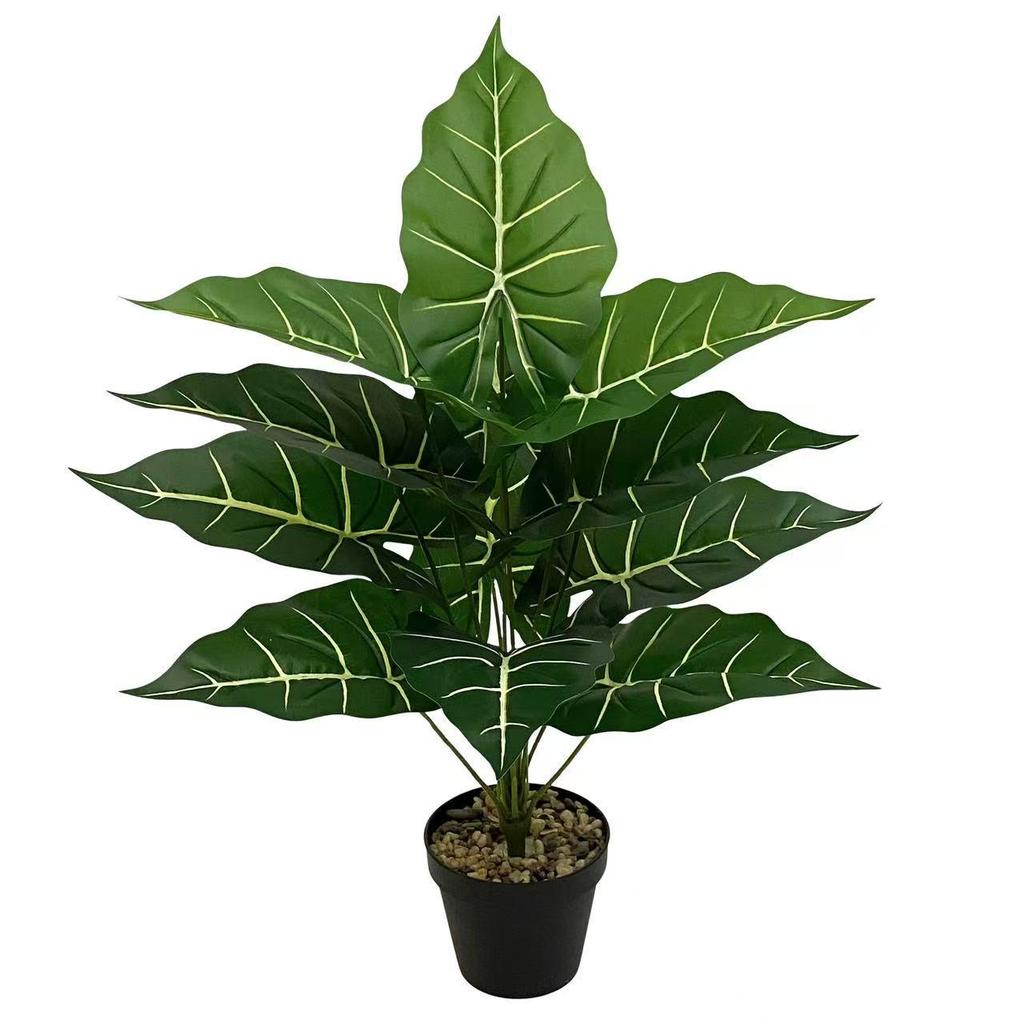 Nordic Style Taro Leaf Green Plant for Home Decor and Garden Landscaping