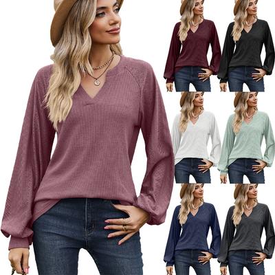 2023 Fall and Winter Women's Sweatshirt Casual Solid Color V-Neck Loose Long Sleeve T-Shirt Tops