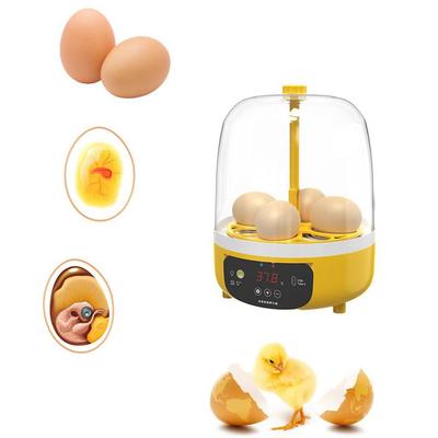 Husdyr – Inkubatorer til æg og tilbehør